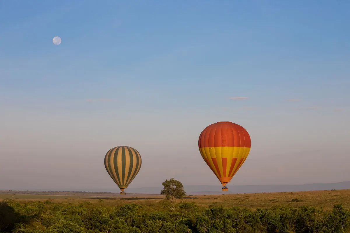 Hot-air balloons rising over the savanna at dawn