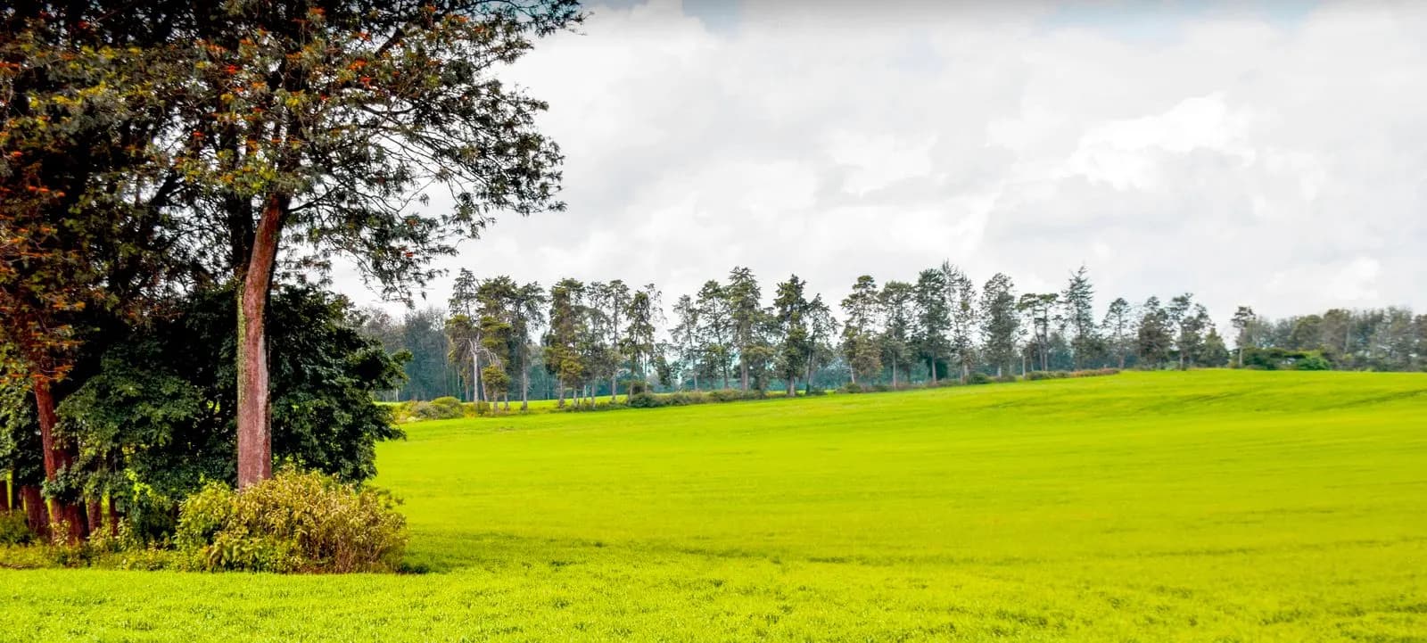 The green highlands of Kenya's Great Rift Valley