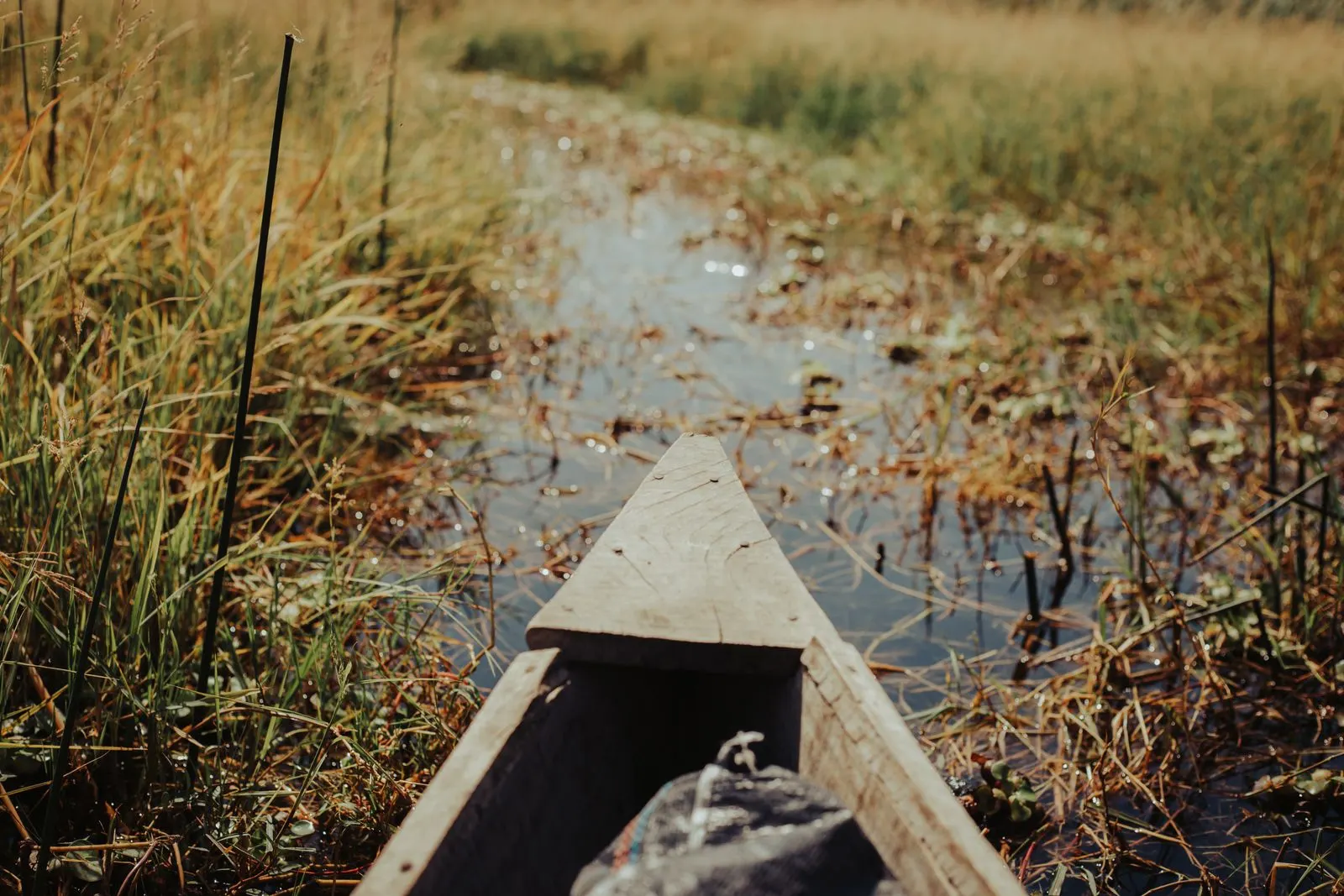 A mokoro dugout gliding through the reeded channels of the delta
