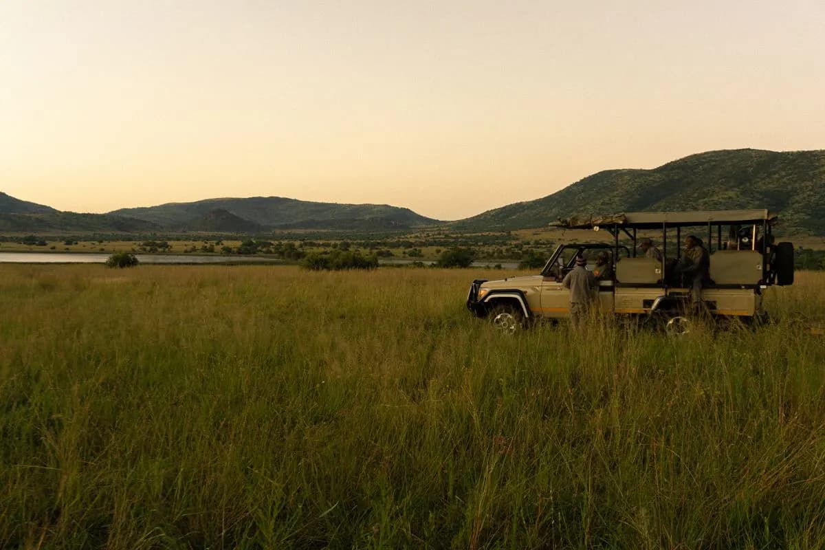 Family and guests together watching wildlife from a vehicle